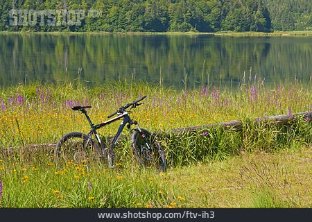 
                Mountainbike, Chiemgau, Chiemgauer Alpen                   