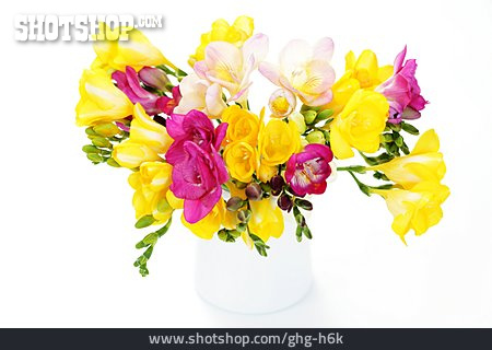 
                Blumenstrauß, Blumenvase, Freesien                   