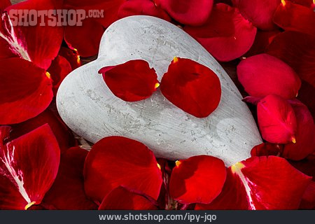 
                Herz, Rosenblüte                   