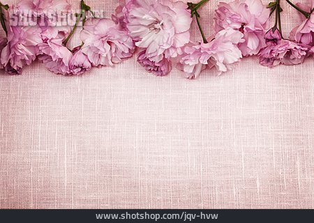 
                Copy Space, Cherry Blossom, Fruit Flower                   