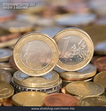 
                Euro, Belgien                   