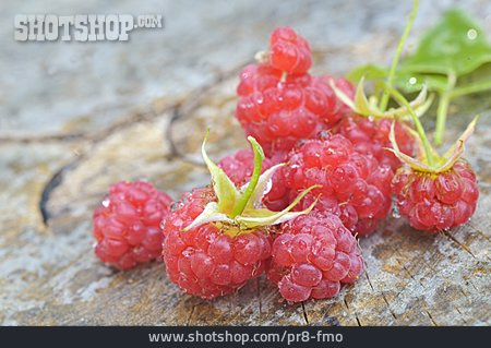 
                Himbeeren                   