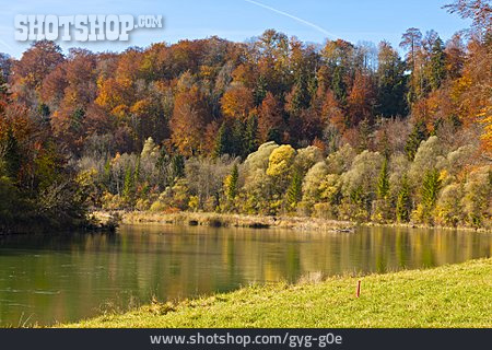 
                Herbstwald, Baierbrunn                   
