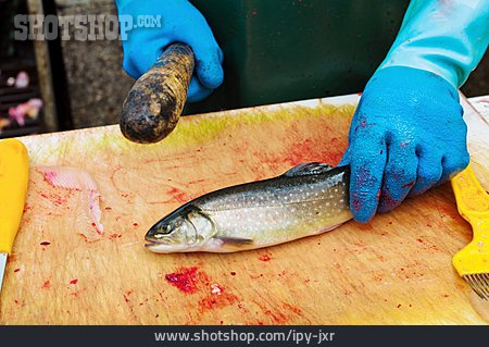 
                Fischverkauf, Ausnehmen, Erschlagen, Fischhändler                   