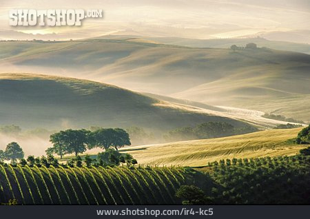 
                Hügel, Toskana, Siena                   