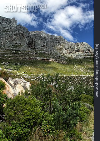 
                Südafrika, Tafelberg                   
