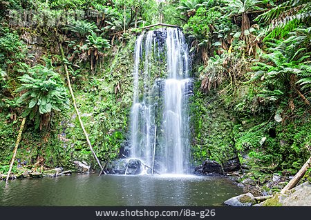 
                Wasserfall, Tasmanien                   