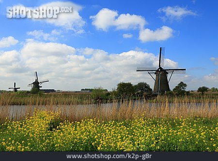 
                Windmühle, Holland                   