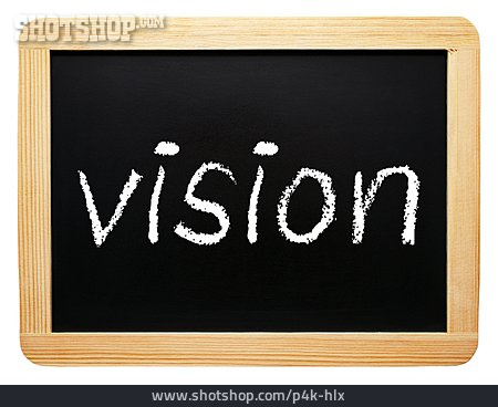 
                Vision                   