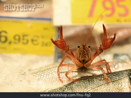 
                Krabbe, Fischmarkt, Marktstand, Languste                   