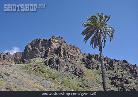 
                Gran Canaria                   