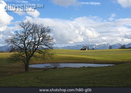 
                Landschaft, Oberbayern, Voralpen                   