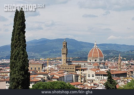 
                Florence                   