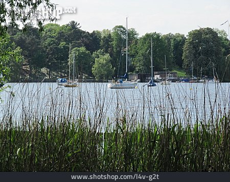 
                Wannsee                   