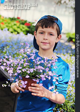 
                Junge, Blume, Gartenarbeit, Hobby, Topfblume                   