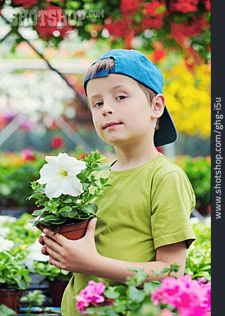 
                Junge, Blumen, Gartenarbeit, Gärtnerei                   