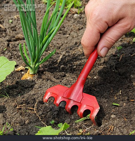 
                Gartenarbeit, Rechen, Bodenbearbeitung                   