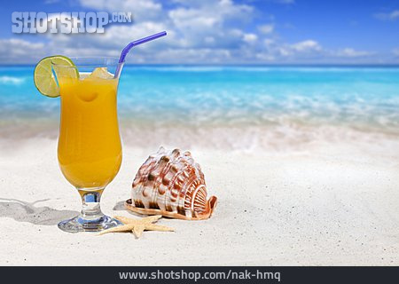 
                Strand, Cocktail, Longdrink                   