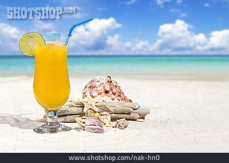 
                Sommer, Cocktail, Longdrink                   