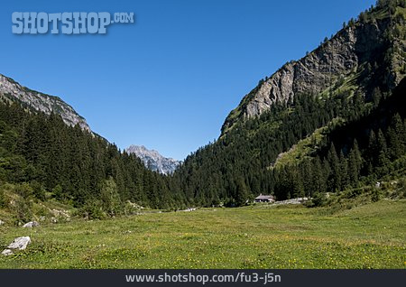 
                Tirol, Alm, Lechtal                   