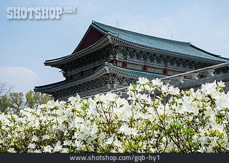 
                House, Traditional, Korea, Hanok                   