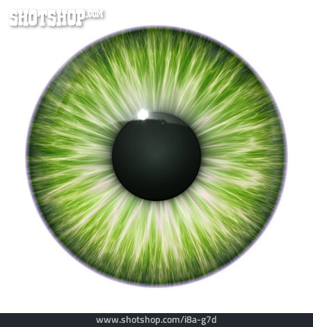 
                Grüne Augen, Auge, Iris                   