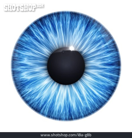 
                Auge, Blaue Augen, Iris                   