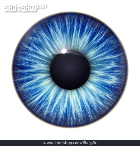 
                Auge, Blaue Augen, Iris                   