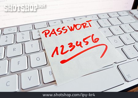 
                Passwort                   