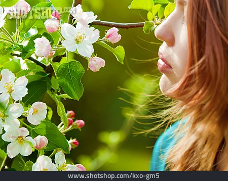 
                Blüte, Duft, Frühling, Obstblüte                   