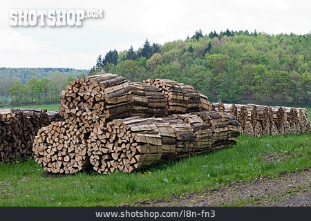 
                Holz, Holzstapel, Holzwirtschaft, Brennholz, Feuerholz                   