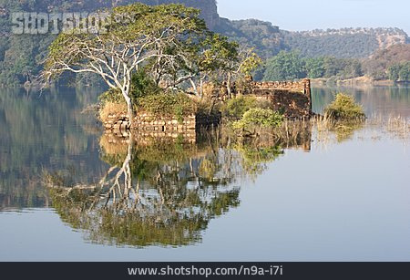 
                Indien, Rajasthan, Ranthambhore-nationalpark                   