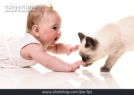 
                Baby, Katze, Tierliebe                   