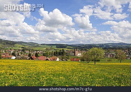 
                Dorf, Schwarzwald, St. Peter                   