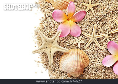 
                Sand, Muscheln, Strandgut                   