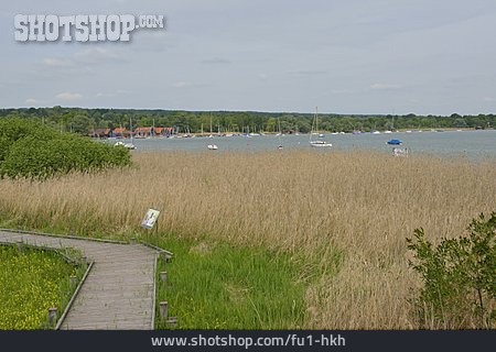 
                Ufer, Ammersee                   