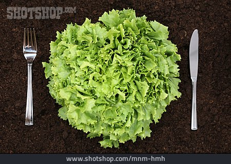 
                Gesunde Ernährung, Salat, Vegetarisch, Vegan                   