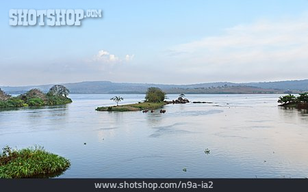 
                Uganda, Weißer Nil                   