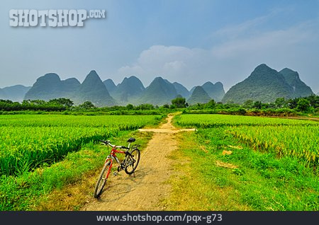 
                China, Reisanbau, Yangshuo                   