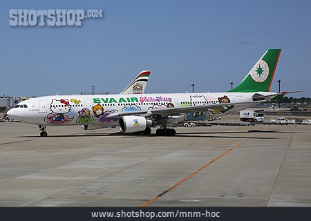 
                Tokio, Airbus A330, Eva Air                   