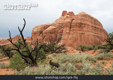 
                Fels, Felsformation, Arches-nationalpark                   