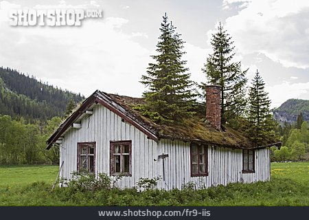 
                Humor & Skurril, Bäume, Hütte, Grasdach                   