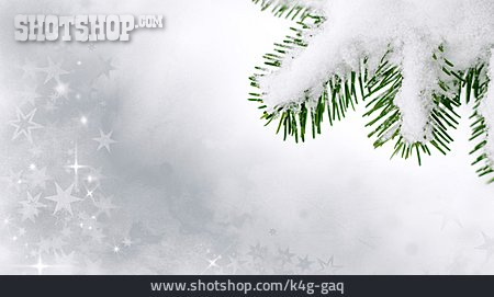 
                Hintergrund, Weihnachten, Tannenzweig                   
