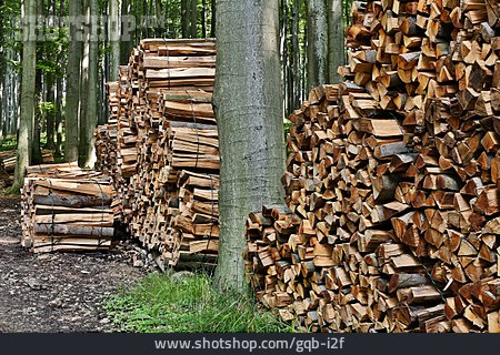 
                Holzstapel, Forstwirtschaft, Brennholz                   