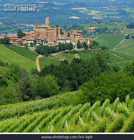 
                Festung, Weinbaugebiet, Castiglione Falletto                   