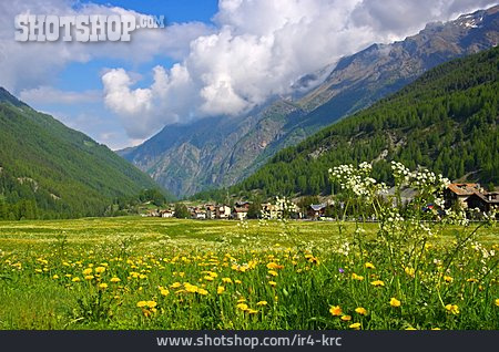 
                Alpen, Aostatal, Gran Paradiso                   