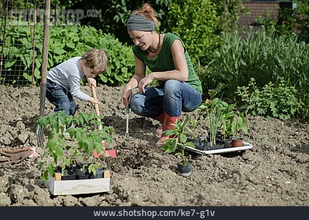 
                Gartenarbeit, Anpflanzen, Umgraben                   