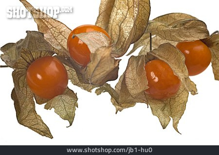 
                Obst, Physalis                   