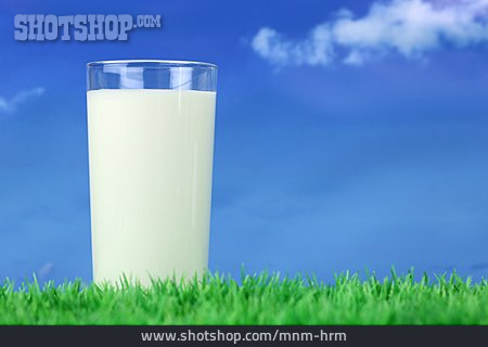 
                Milch, Vollmilch, Milchglas, Frischmilch                   