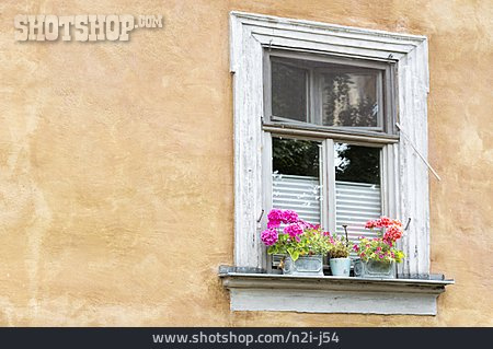 
                Fenster, Blumentopf                   